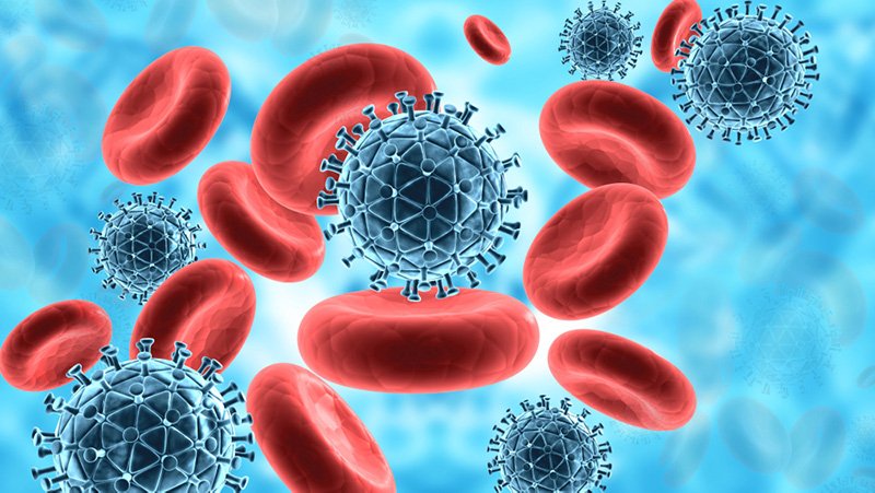 immune-system.jpg